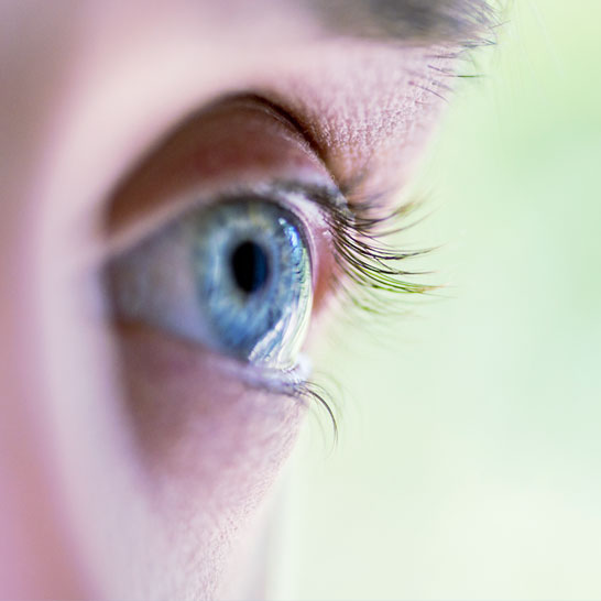 Ophthalmology